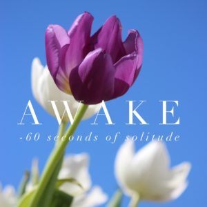 awake meditation