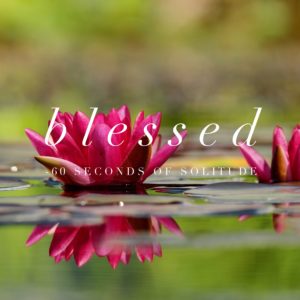 blessed meditation