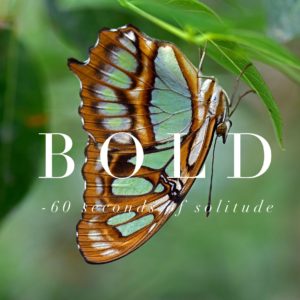 bold meditation