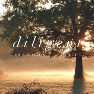 diliegent meditation