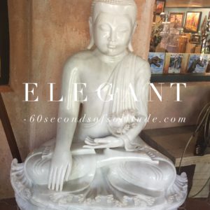 ELEGANT MEDITATION