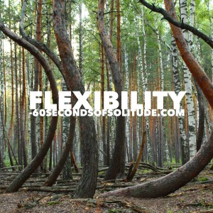 Meditation and Journaling flexibility 60 Seconds of Solitude