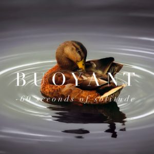 Buoyant meditation
