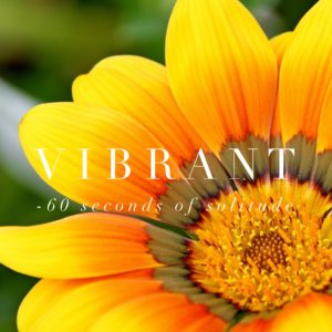 Vibrant meditation