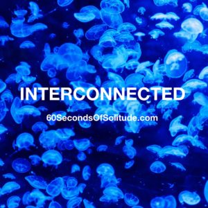 INTERCONNECTED MEDITATION