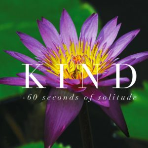 kind meditation