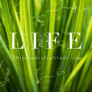 LIFE Meditation 60 SECONDS OF SOLITUDE