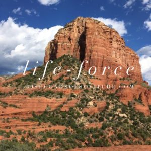LIFE-FORCE MEDITATION