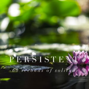 persistent meditation