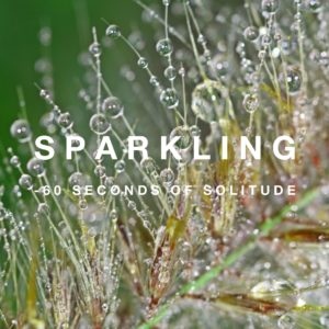 sparkling meditation