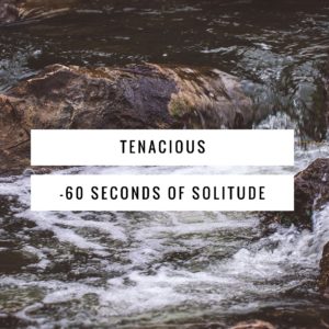 tenacious meditation