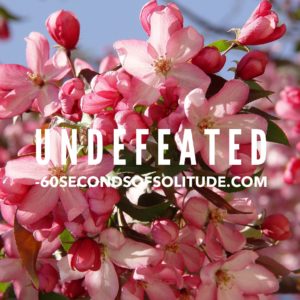 UNDEFEATED MEDITATION