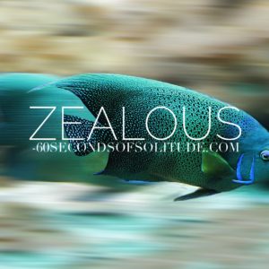 ZEALOUS MEDITATION